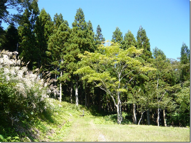 P1090078