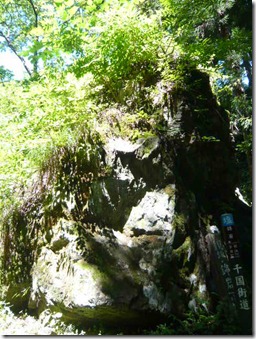 P1070373