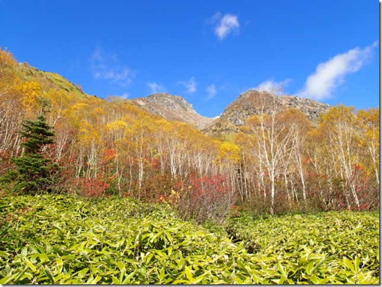 PA117916 PA117916